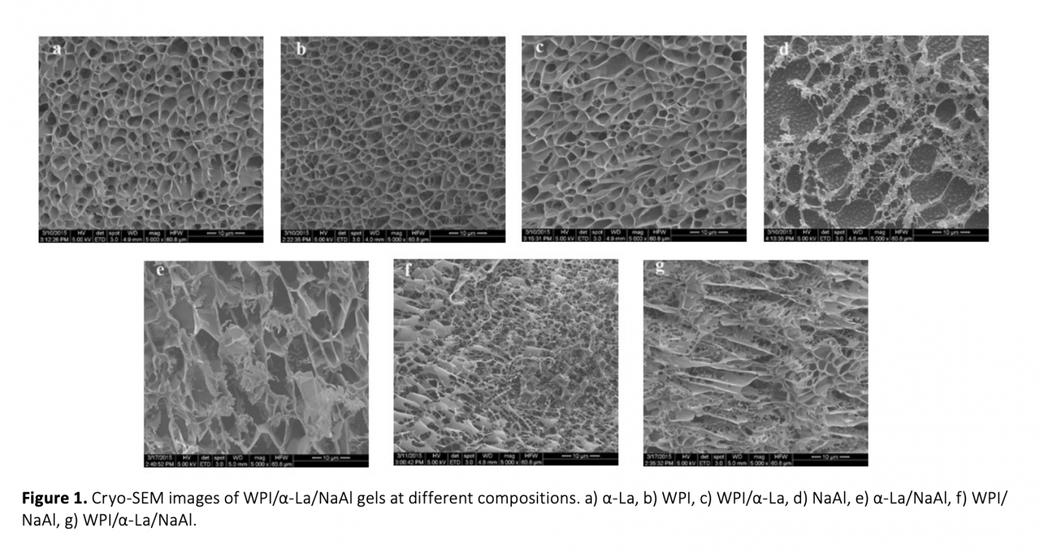 Microstructure and Rheology of Whey Protein Based Hydrogels Issue 3